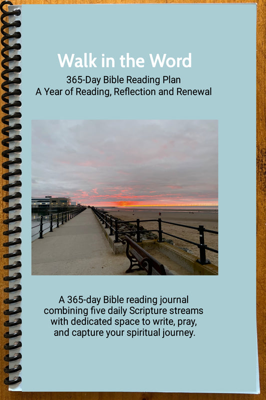 365-Day Bible Reading Plan book with a beach scene cover